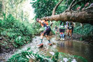 BIB: 
                            <button type="button" onclick="openModal(25515655)" class="btn btn-primary btn-sm float-right btn-popup" data-toggle="modal" data-target=".modal-high-quality">
                        <i class="fas fa-shopping-cart"></i> Add to Cart
                    </button>
                                            <button type="button" onclick="isThisMe(25515655, true)" class="btn btn-success btn-sm float-right btn-popup btn-isme hidden" data-toggle="tooltip" data-placement="bottom" title="นี่คือรูปของคุณใช่ไหม คลิกที่นี่เพื่อเอาเข้าอัลบั้ม">
                        <i class="fas fa-plus"></i> Add to album
                    </button>
                    <button type="button" onclick="isThisMe(25515655, false)" class="btn btn-warning btn-sm float-right btn-popup btn-isnotme hidden">
                        <i class="fas fa-ban"></i> Remove from album
                    </button>